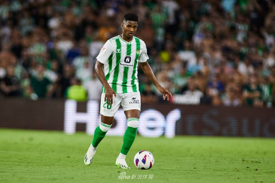 休赛期选择 休赛期选择